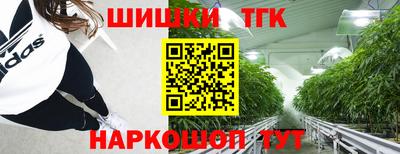 ешки Кингисепп