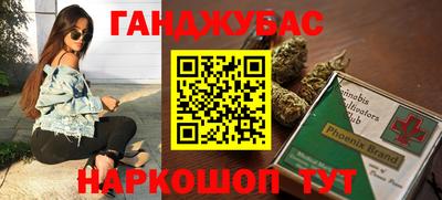 ешки Кингисепп