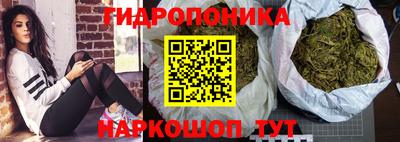 прущие крисы Кинель