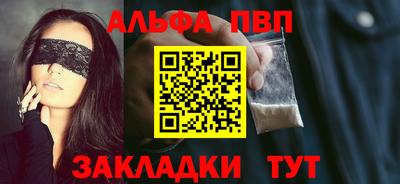ешки Кингисепп